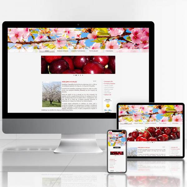 Παρηγορίδης Κωνσταντίνος 